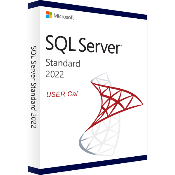 SQL Server 2022 Standard - 1 User CAL
